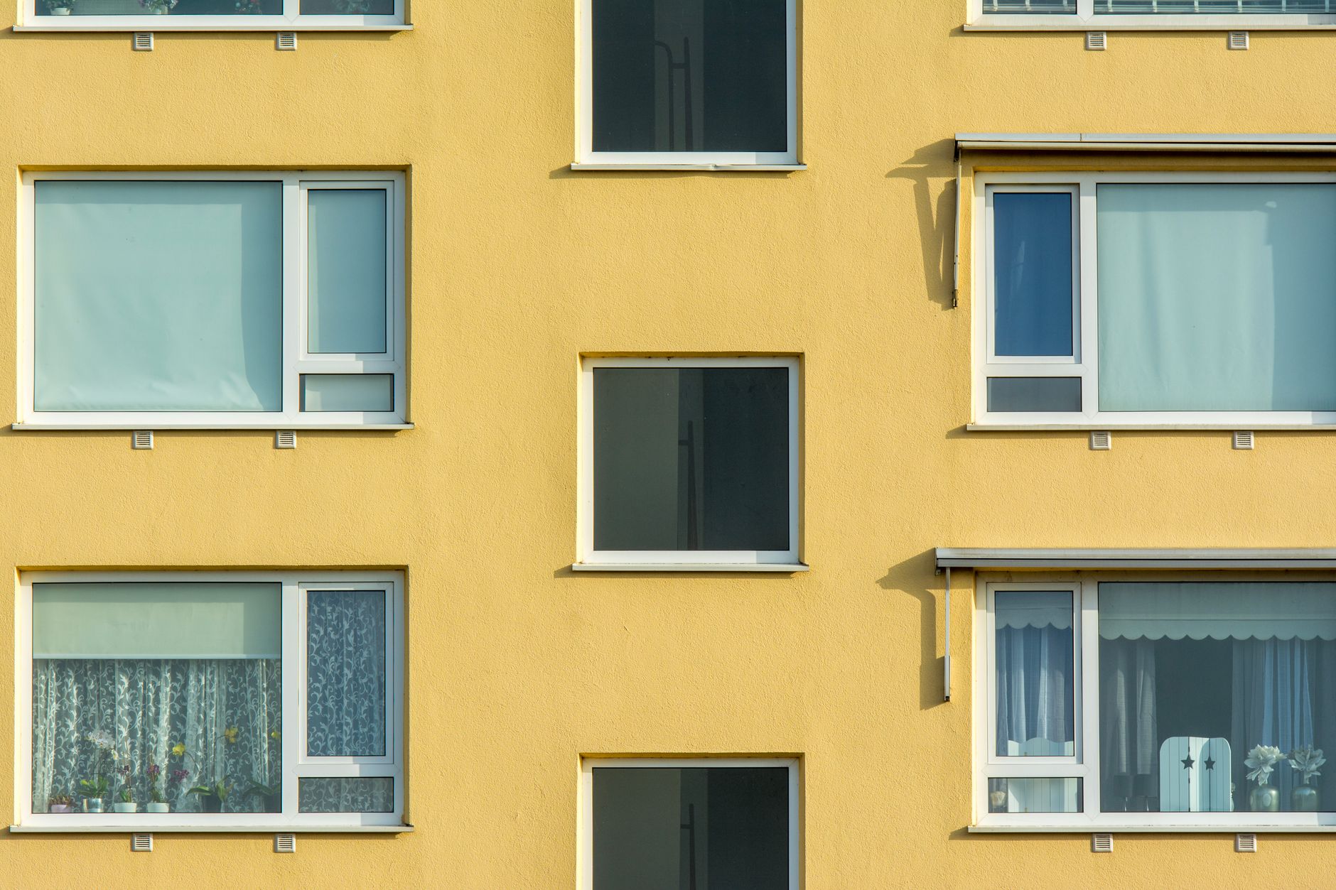 How Does a Life Estate Split Property Rights Between Two People?