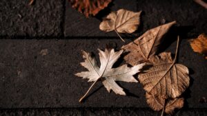 How to Leave a Legacy - Featured image