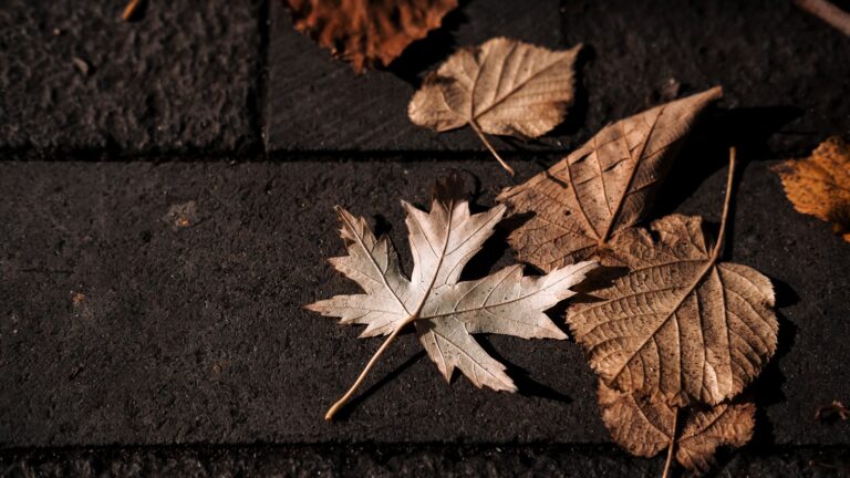 How to Leave a Legacy - Featured image