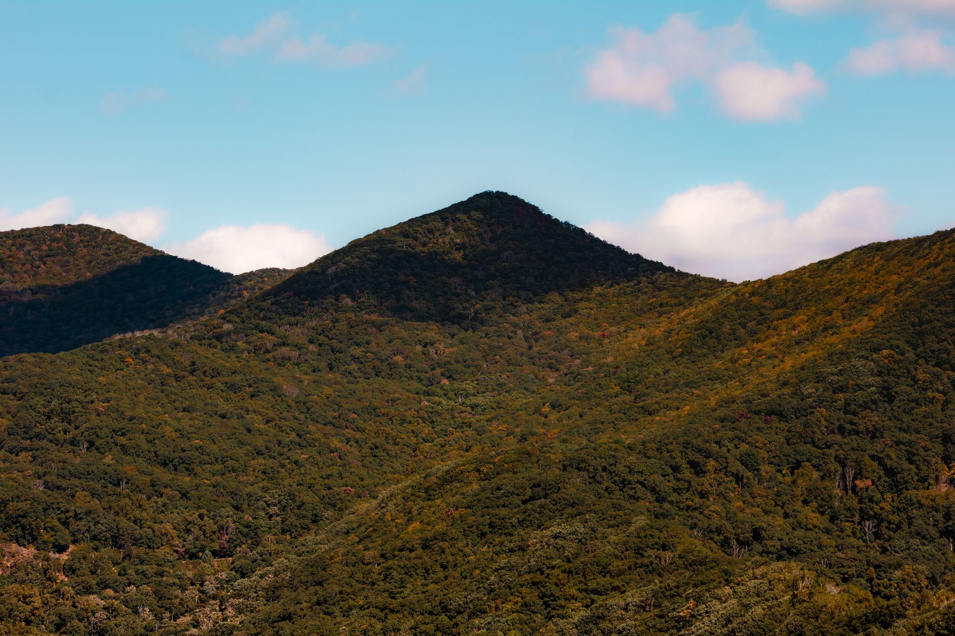Is North Carolina Tax-Friendly for Retirees and Retirement Income?