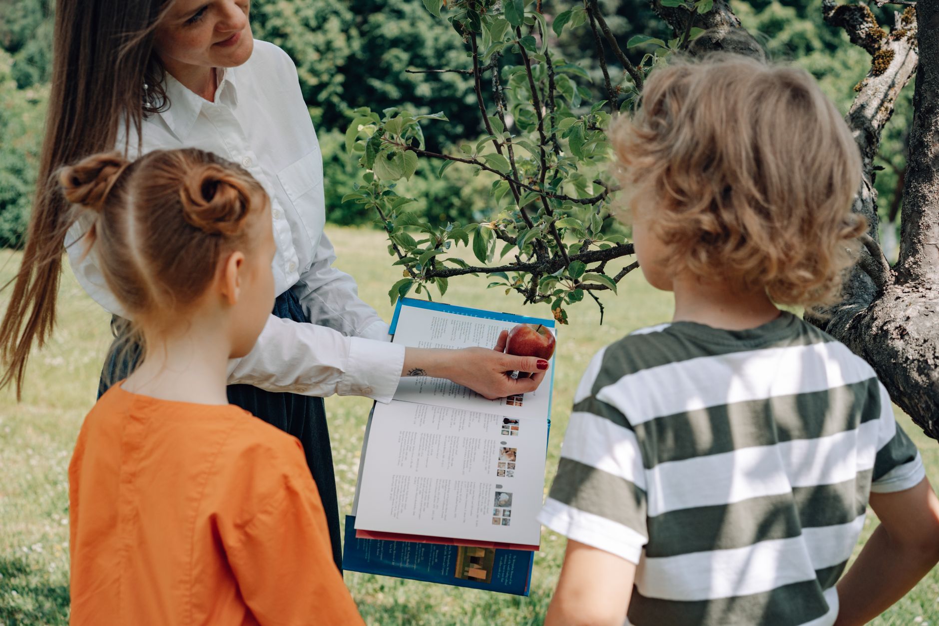 Teaching Children About Inheritance - Featured image