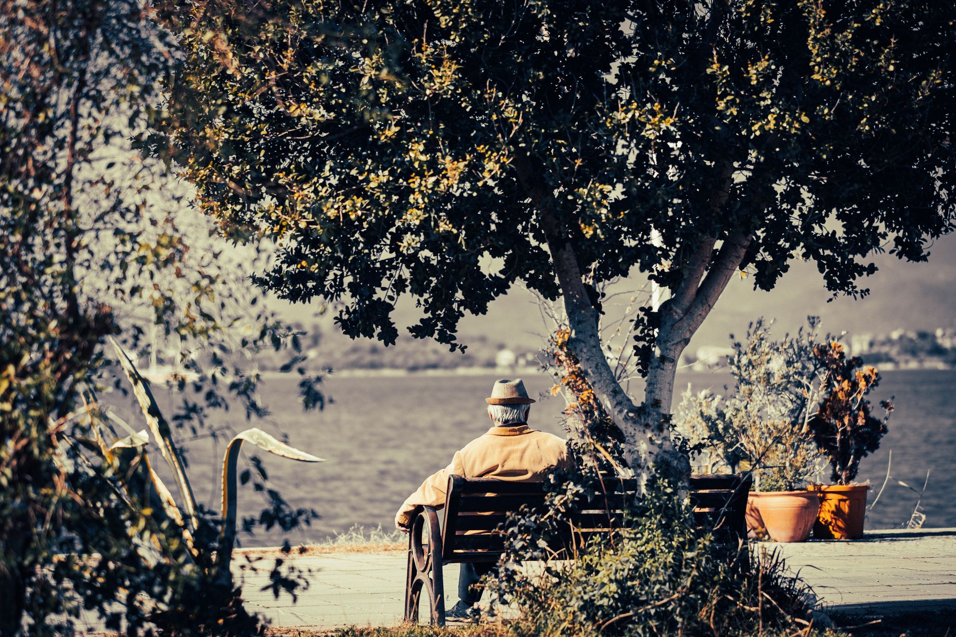 The Hidden Downsides—Heat, Water, and Isolation