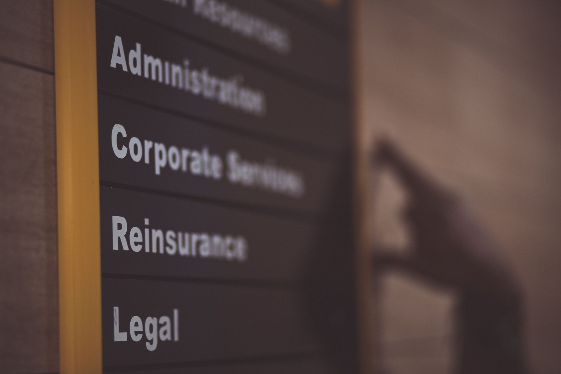 What Types of VR Services Are Available to Disability Recipients?