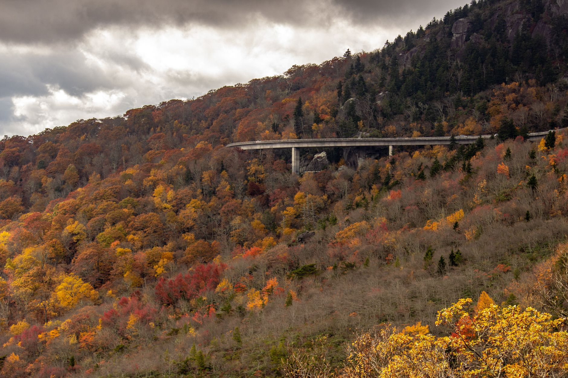 Which North Carolina Regions Offer the Best Combination of Affordability and Amenities?